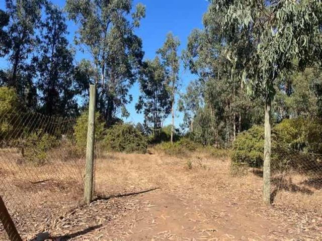 SITIO Los Manantiales