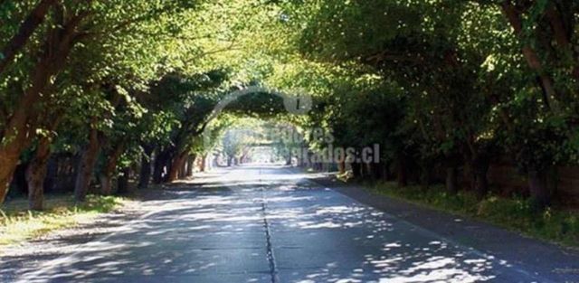 PARCELA Fundo Santa Ana