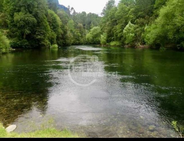 PARCELA Km. 6 Camino Quelhue