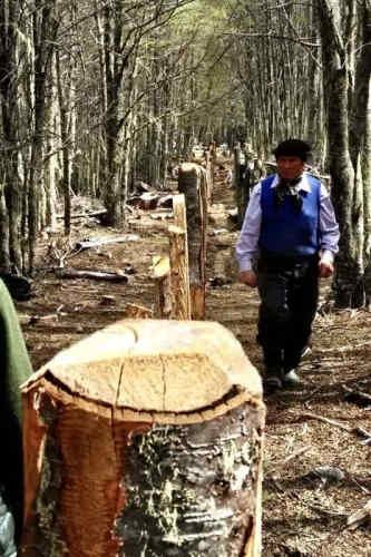 OTROS Sector arroyo Norte