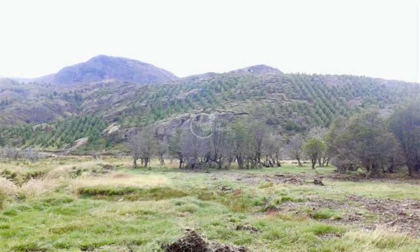 OTROS Sector arroyo Norte