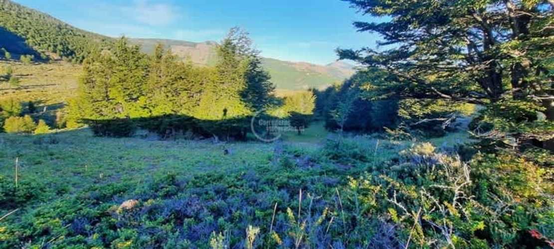 OTROS Sector arroyo Norte