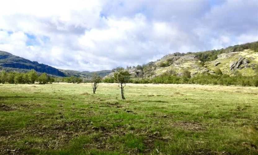 OTROS Sector arroyo Norte