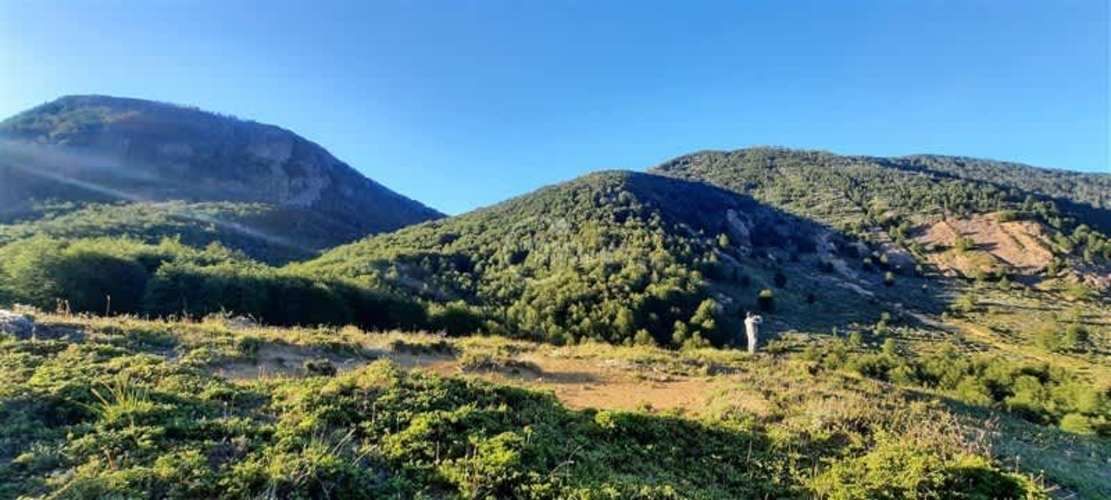 OTROS Sector arroyo Norte