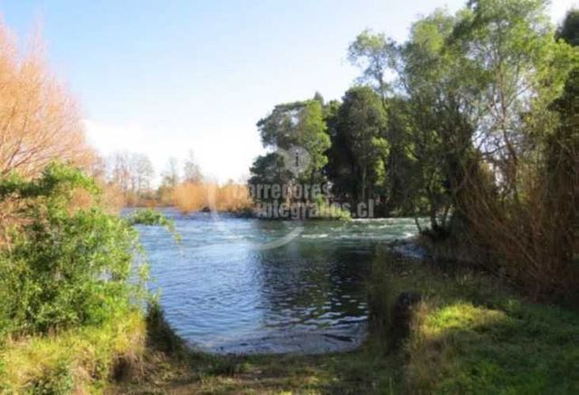 SITIO Llifen - Futrono - Los Rios - Lago Ranco - SUBDIVISIBLE