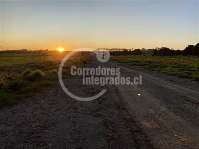 PARCELA Camino La Vega, Puerto Varas