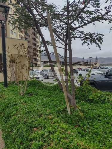 DEPARTAMENTO Félix García