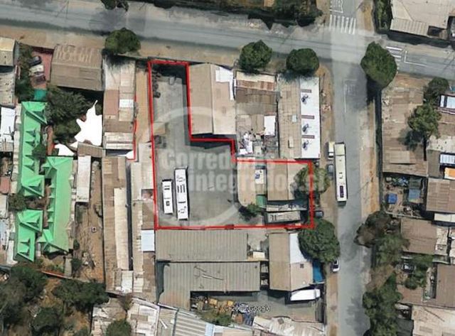 SITIO El Olivo / Nueva Central