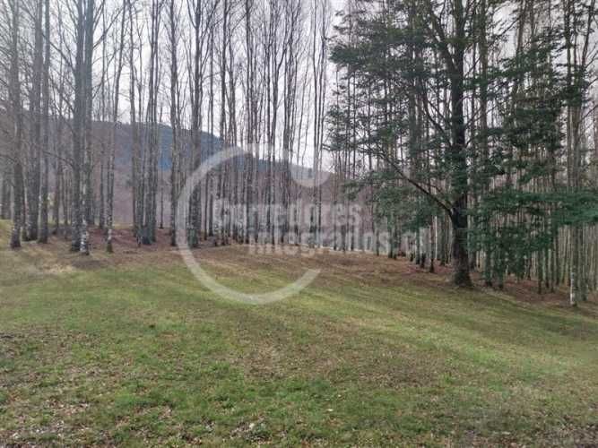 PARCELA Condominio Termal El Mañio