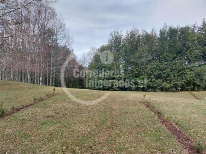 PARCELA Condominio Termal El Mañio