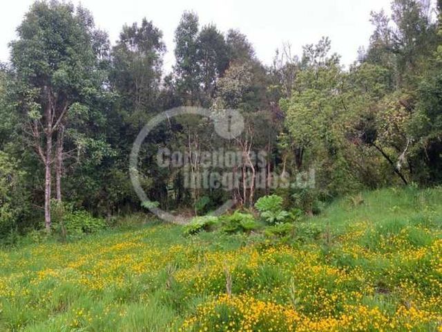 PARCELA Sector La Vega Nueva Braunau