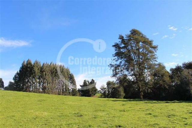 PARCELA Valle Escondido