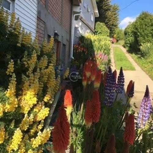 CASA Juan Williams Frente al mar