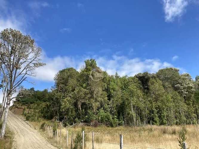 PARCELA Sector Llicaldad