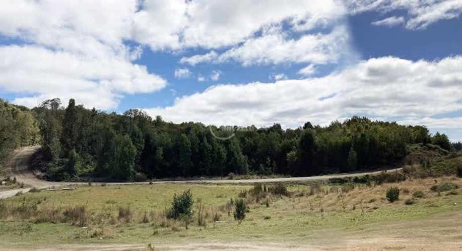 PARCELA Sector Llicaldad