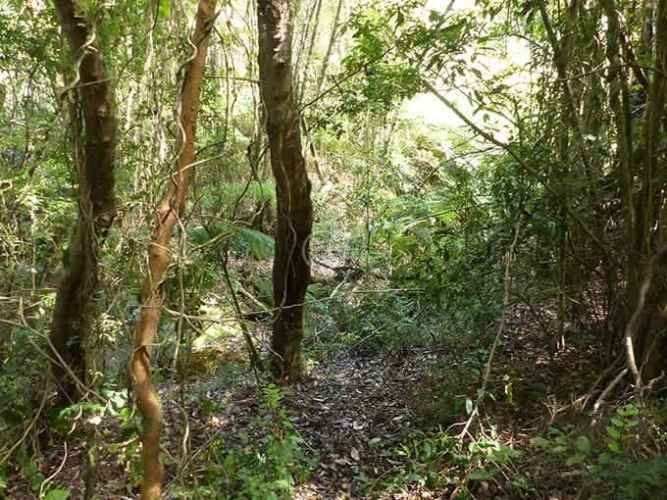 PARCELA Sector Llicaldad