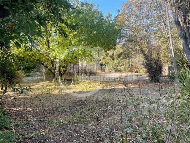 CASA Robles con Av. la Dehesa