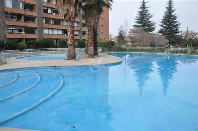 DEPARTAMENTO La Llaveria, Damian de Vesuter, Lo Gallo