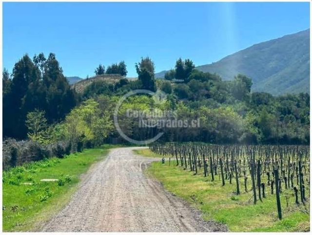 SITIO CONDOMINIO - Santa Cruz entre Viñas Apalta - Lapostolle - Montes - Ventisqueros - Millahue