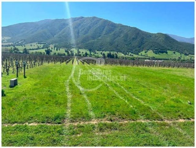 PARCELA CONDOMINIO - Santa Cruz - entre viñas Apalta, Lapostolle, Ventisqueros, Millahue y Montes