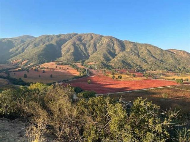 SITIO Condominio en Santa Cruz - entre Viñas Apalta, Lapostolle, Ventisqueros, Montes y Millahue