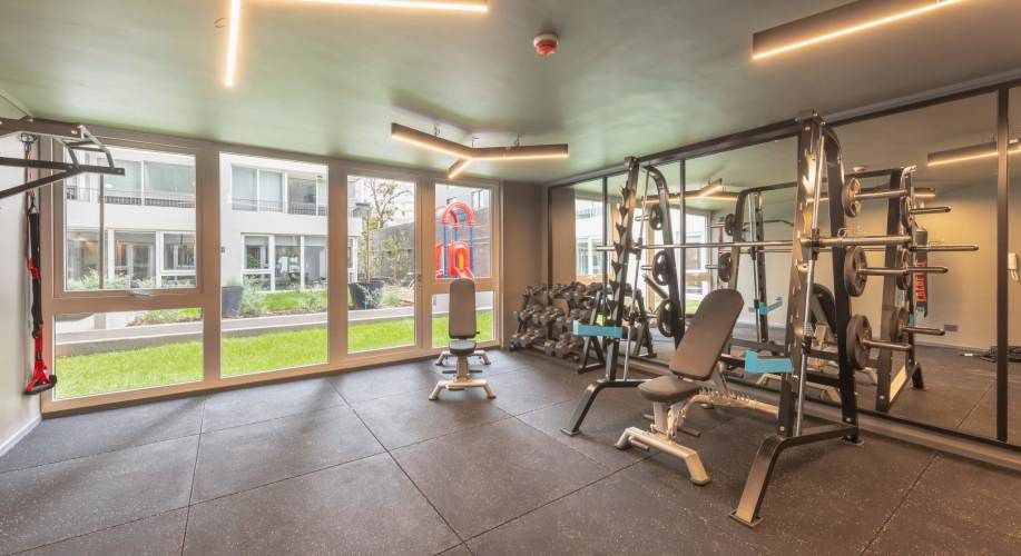 Vicuña Capital [2752-1]