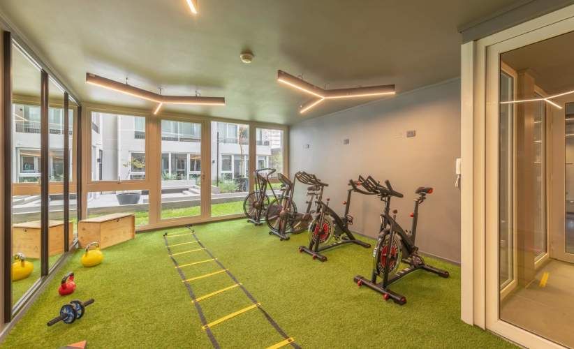 Vicuña Capital [2752-1]