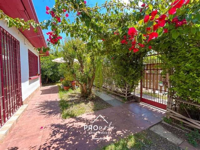 CASA Ramon Cruz / Los Olmos