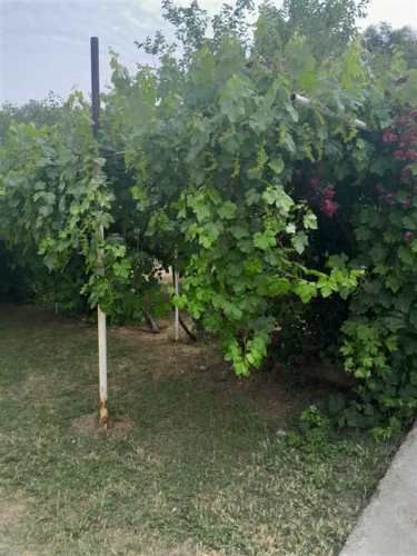 PARCELA Parcela en Lampa, El Molino