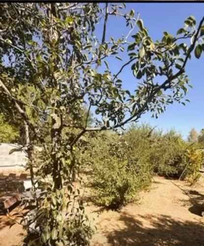 PARCELA Parcela en Lampa, El Molino