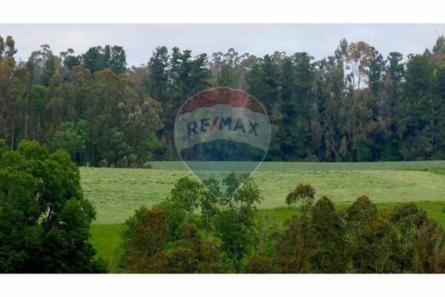 Proyecto  parcelas  los cerezos