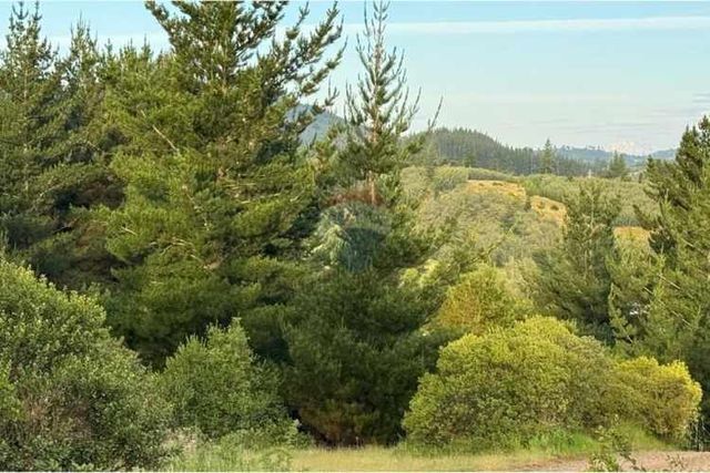 Parcela de 10.600 m2 en tomeco, yumbel