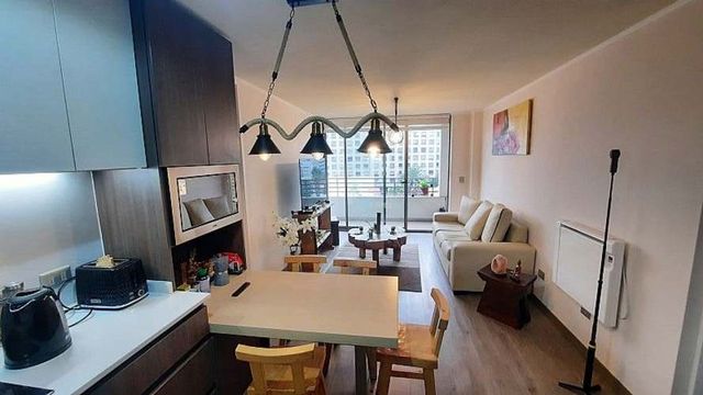 Hermoso departamento Ñuñoa