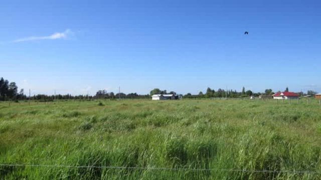 PARCELA Sector Los Yugos.