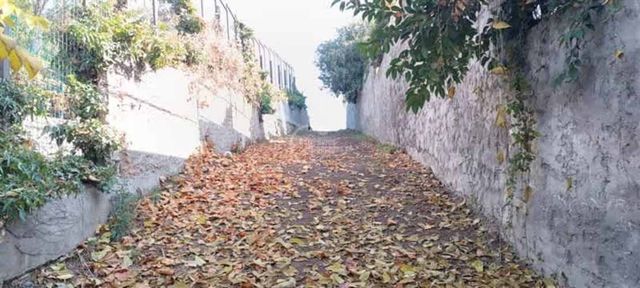 SITIO Camino La Colina