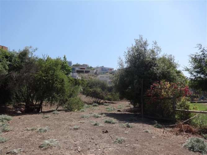 SITIO Camino La Laguna