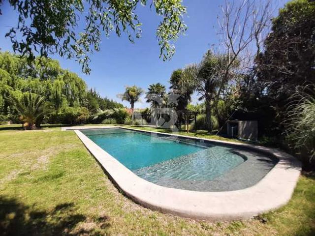 Algarrobal II - Colegio San Nicolás Diácono - Chicureo