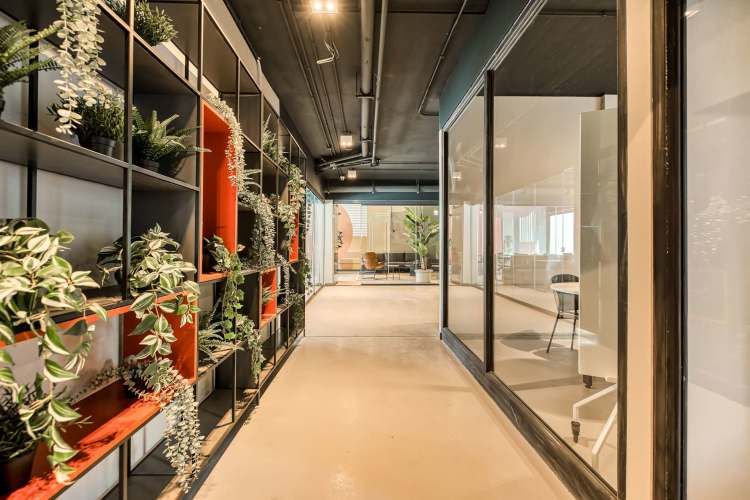 Vive Santa Isabel [2584-4]