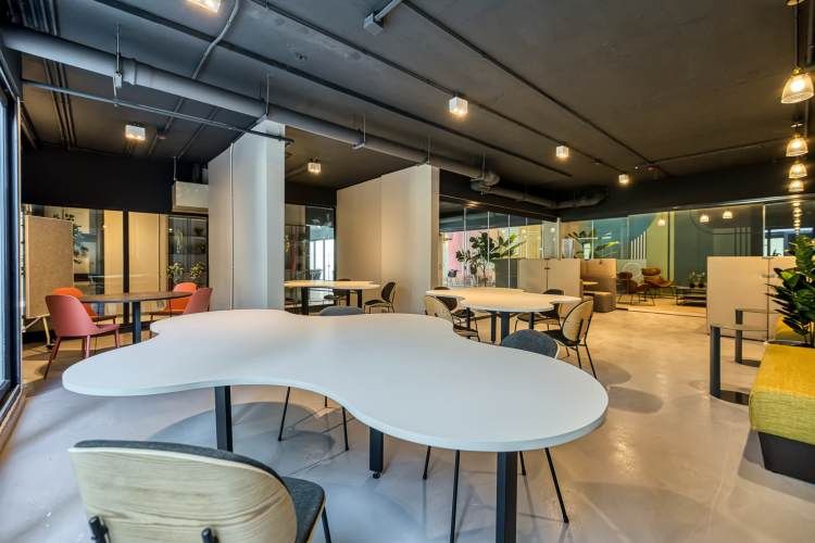 Vive Santa Isabel [2584-4]