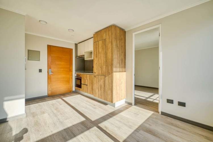 Vive Santa Isabel [2584-4]