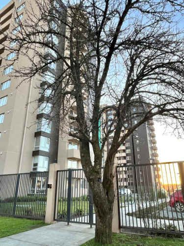 Departamento Estudio Amoblado