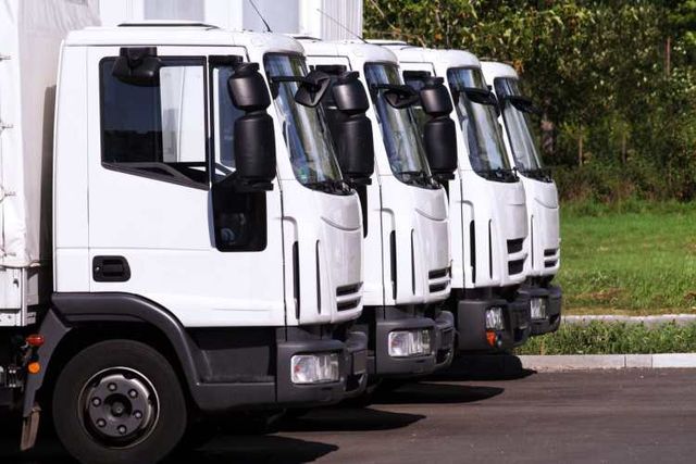 Conductor/ Proveedor.