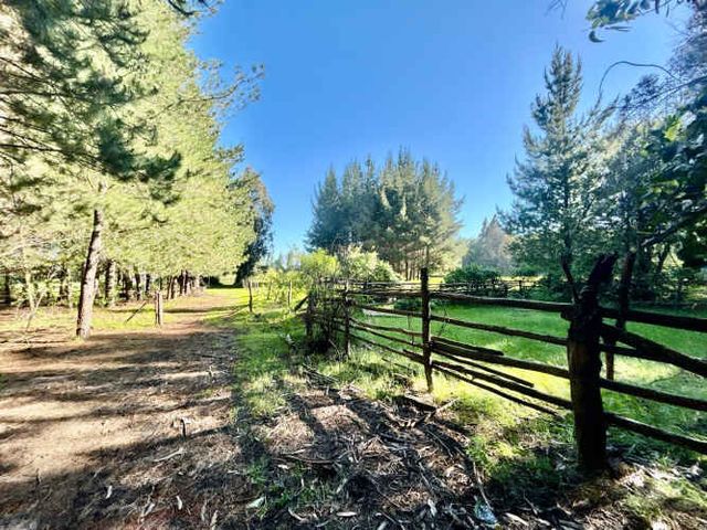 Lindo campo con casa - Sector de La Suerte