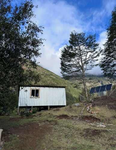 Terreno de bosque nativo con orilla de rio