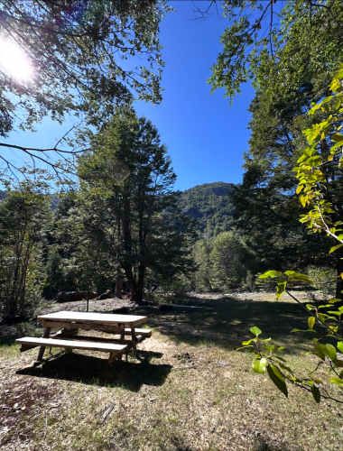 Terreno de bosque nativo con orilla de rio