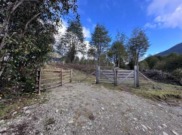Terreno de bosque nativo con orilla de rio
