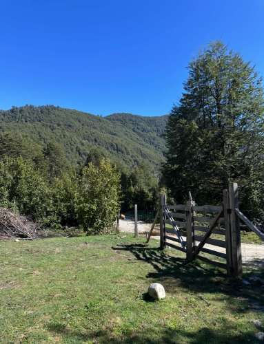 Terreno de bosque nativo con orilla de rio