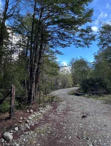 Terreno de bosque nativo con orilla de rio