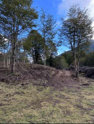 Terreno de bosque nativo con orilla de rio