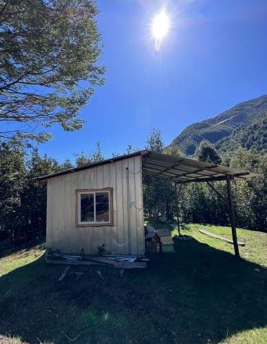 Terreno de bosque nativo con orilla de rio